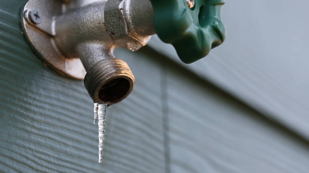 Best Leak Detection Services  in Wauconda, IL